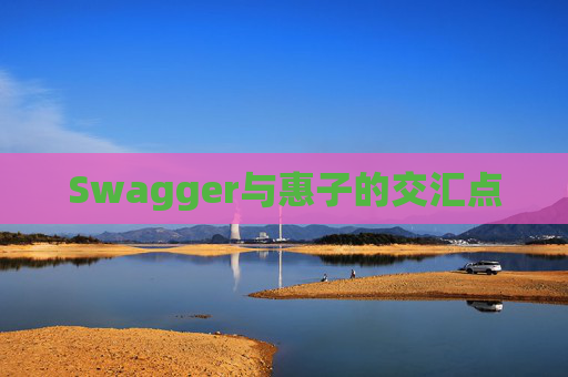 Swagger与惠子的交汇点